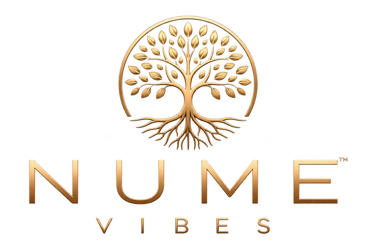 NuMe Vibes